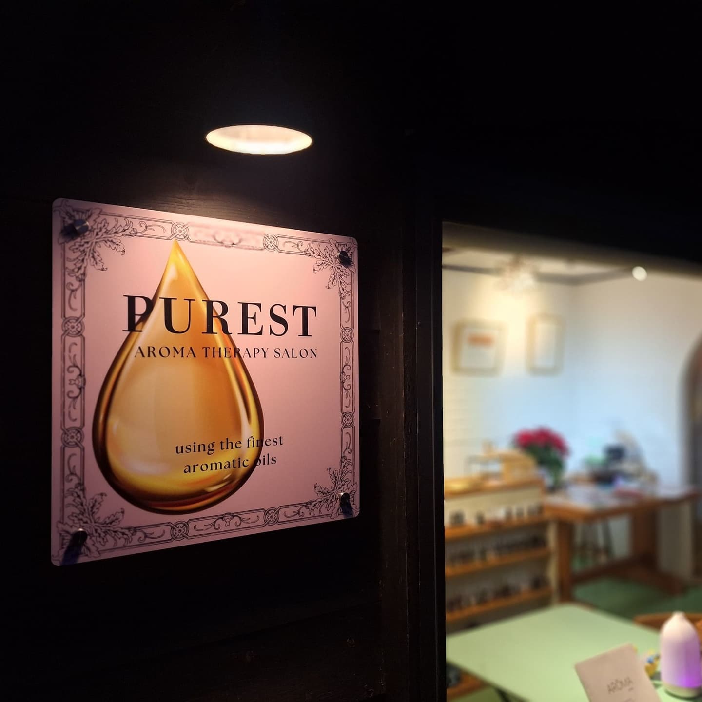 軽井沢　ペット